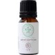 Eucalyptus Globulus Pure Essential Oil 10 ml (0.33 oz) - Roga Oils