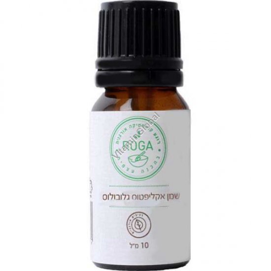 Eucalyptus Globulus Pure Essential Oil 10 ml (0.33 oz) - Roga Oils